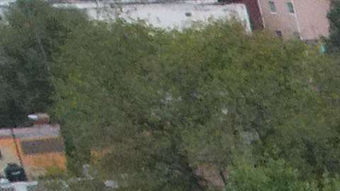 Los mexicanos se unieron para ayudar a víctimas de los sismos en su país.