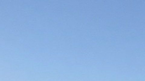 El vuelo iba de Miami a Bahamas