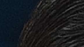 Donald Trump y Xi Jinping se reunieron durante la cumbre del G20 en Osaka, Japón.