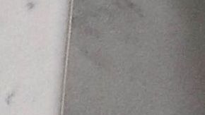 El presidente Trump tiene al menos dos intereses en los venezolanos.