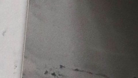 El presidente Trump tiene al menos dos intereses en los venezolanos.