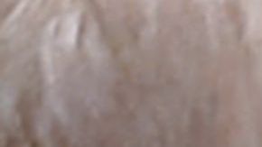 Una reunión confiscada entre Trump y Putin avivó la preocupación de la CIA.