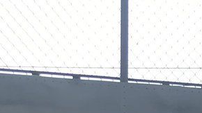 El pequeñito tuvo un día inolvidable junto al ídolo de los Tigres