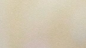 Giovani fue una de las contrataciones estelares del América y ha podido jugar poco.