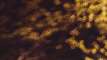 girl-lying-on-the-grass-1741487_1280