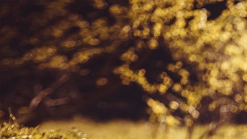 girl-lying-on-the-grass-1741487_1280