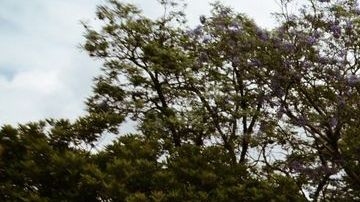 Esta foto de archivo muestra a la Guardia Nacional de México en el ejercicio de sus funciones.