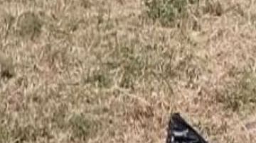 Hallan cuerpo de mujer brutalmente desmembrada en zona que disputan huachicoleros y narcos