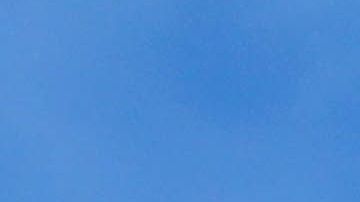 Al camello no le gustó la intrusa.