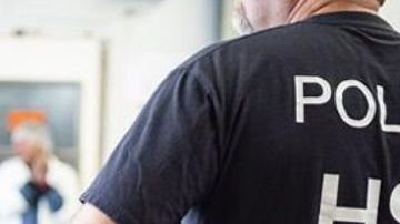 Los agentes especiales de ICE investigan fraudes migratorios.
