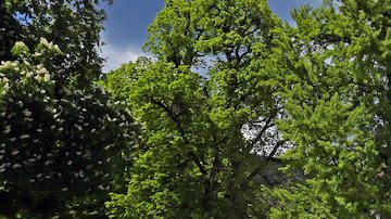 Aston Martin, Bentley, Bugatti, Ferrari, Koenigsegg, Lamborghini, Maserati, Mercedes-Maybach y Porsche: estos son los supuestos autos que el vicepresidente de un país africano guardaba en Suiza