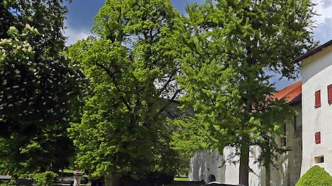 Aston Martin, Bentley, Bugatti, Ferrari, Koenigsegg, Lamborghini, Maserati, Mercedes-Maybach y Porsche: estos son los supuestos autos que el vicepresidente de un país africano guardaba en Suiza