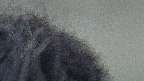 Raúl Jiménez y Guillermo Ochoa nunca jugarían para Chivas, según Amaury Vergara.