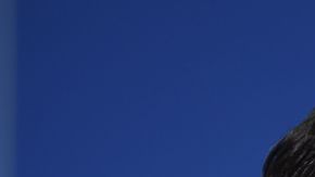 'Chuy' Corona no ha estado en su mejor momento con la Máquina de la Cruz Azul.