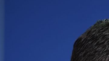 'Chuy' Corona no ha estado en su mejor momento con la Máquina de la Cruz Azul.