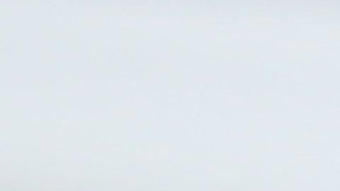 Luis Fernando Tena es el nuevo DT de Chivas.