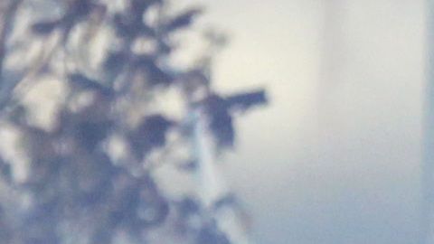 Dos aficionados de Rayados fueron sentenciados a más de 4 años de prisión.