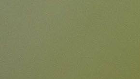 El menor de los dos Santos dijo que quizá Briseño no lesionó a Gio de manera intencional.