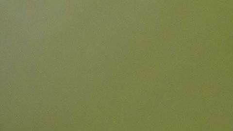 El menor de los dos Santos dijo que quizá Briseño no lesionó a Gio de manera intencional.