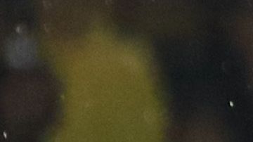 Francisco Córdova es uno de los canteranos que mejor le han respondido a Miguel Herrera.