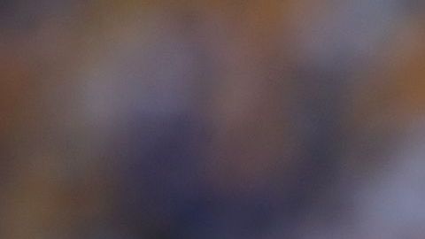 Tras el fallo, varios aficionados comenzaron a abuchear al futbolista