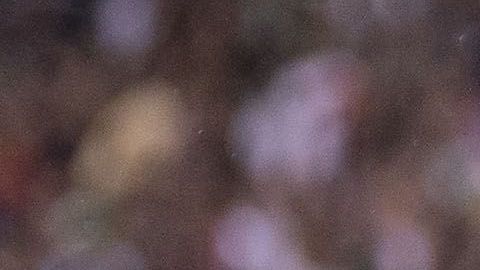 Uriel Antuna selló el 3-0 en el México vs. Estados Unidos.