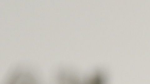 Si no fuera por el infame Veracruz las Chivas ya estarían condenadas al descenso.