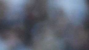 Alexis dedicó su gol contra el Atlas a Marquito y ahora lo quiere asu lado para seguir goleando al Atlas.