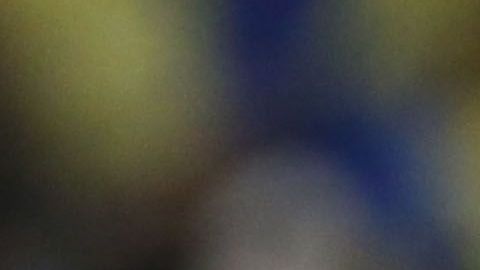 Roger Martínez viajó a Colombia para arreglar problemas personales.