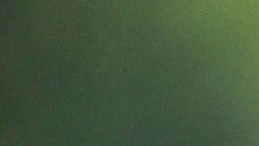 El tricolor tendrá un cuadro plagado de jóvenes.