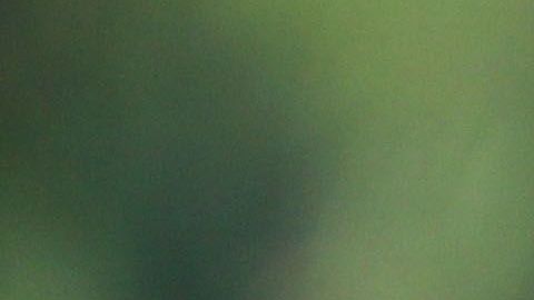 El tricolor tendrá un cuadro plagado de jóvenes.