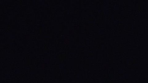 La afición de Chivas pidió en redes sociales la salida de Tomás Boy.