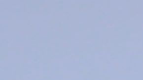 Robert Dante Siboldi buscará su primer triunfo en el Apertura 2019.