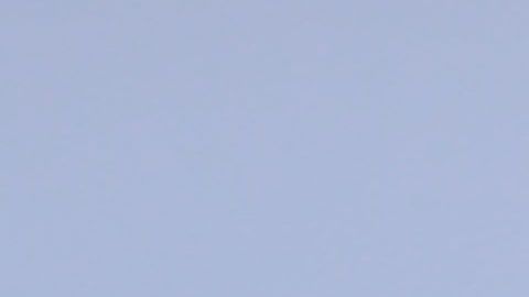 Robert Dante Siboldi buscará su primer triunfo en el Apertura 2019.