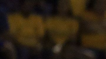 Los felinos no han ganado desde la jornada 4.