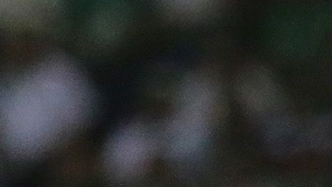 Con este resultado los rojinegros aún mantienen el sueño de jugar la Liguilla.