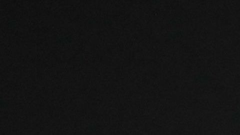 Los Guerreros golearon 5-0 a los escualos y son líderes de la Liga MX.