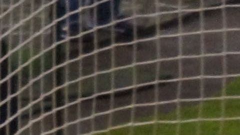 Según Paul Delgadillo, el gol de Aquivaldo Mosquera que dio por bueno, no debió contar en la final del Clausura 2013.