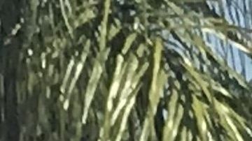 Decenas de trabajadores pidieron que se respeten sus derechos.