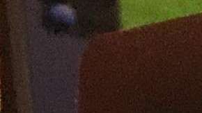 La agencia cobrará por registro de peticiones de visa H-1B.