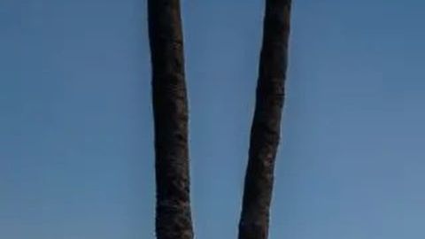 La casa fue vendida en $3.925 millones.