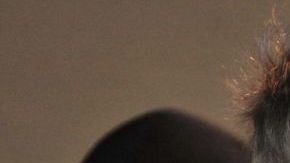 CAPTURAN A EXFUTBOLISTA MEXICANO, MIEMBRO DE UNA CÉLULA DEL CARTEL DEL GOLFO