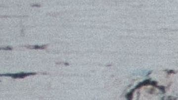 jannis-brandt-8manzosDSGM-unsplash