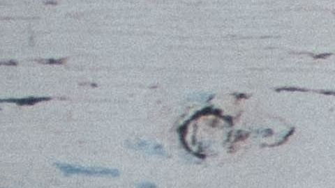 jannis-brandt-8manzosDSGM-unsplash