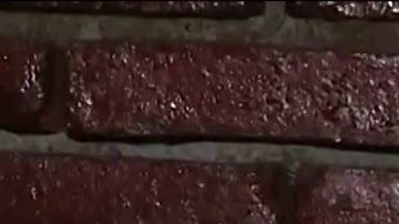 Jeremías Jiménez Cruz (50)