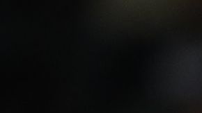 Luis Pérez no logró quedarse con los Detroit Lions