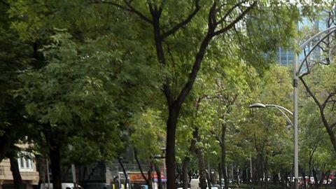 Los 43 estudiantes de Ayotzinapa desasparecieron en septiembre del 2014.