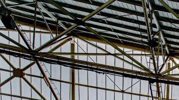 Fans del ADO Den Haag cooperaron con esta noble causa