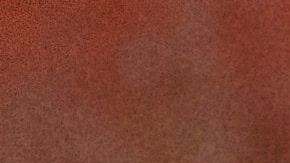 luisa-schetinger-Sqnfvs73mZI-unsplash