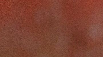 luisa-schetinger-Sqnfvs73mZI-unsplash